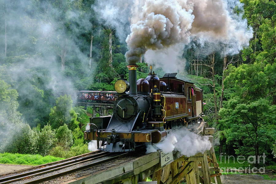 Puffing Billy Photograph by Neil Maclachlan
