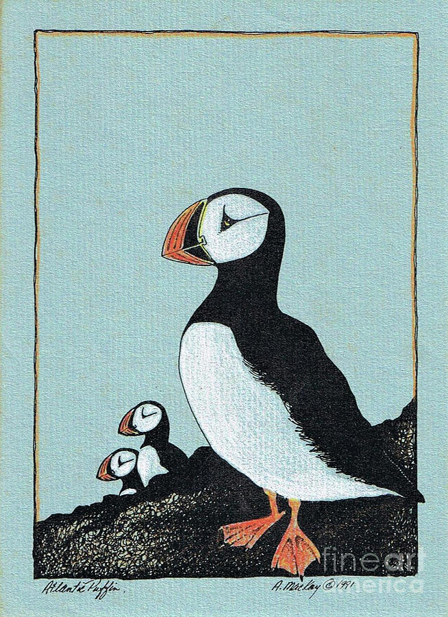 PUFFINS - Hand-colored Print Mixed Media by Art MacKay