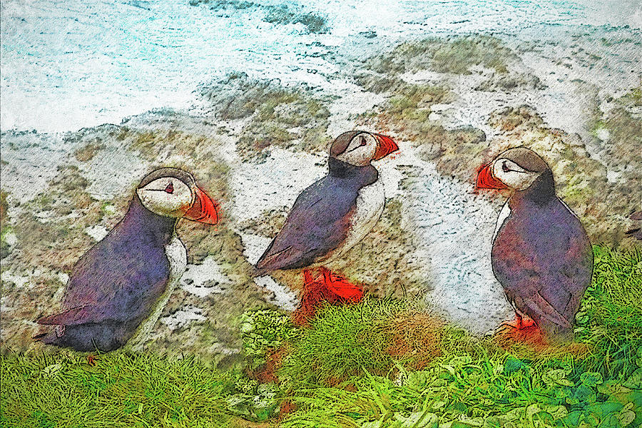 Puffins on Papey, Iceland Digital Art by Frans Blok
