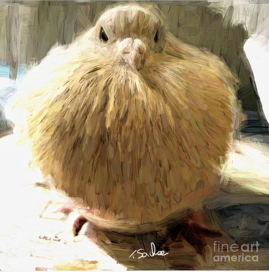 Puffy Bird Digital Art by Tom Sachse - Pixels