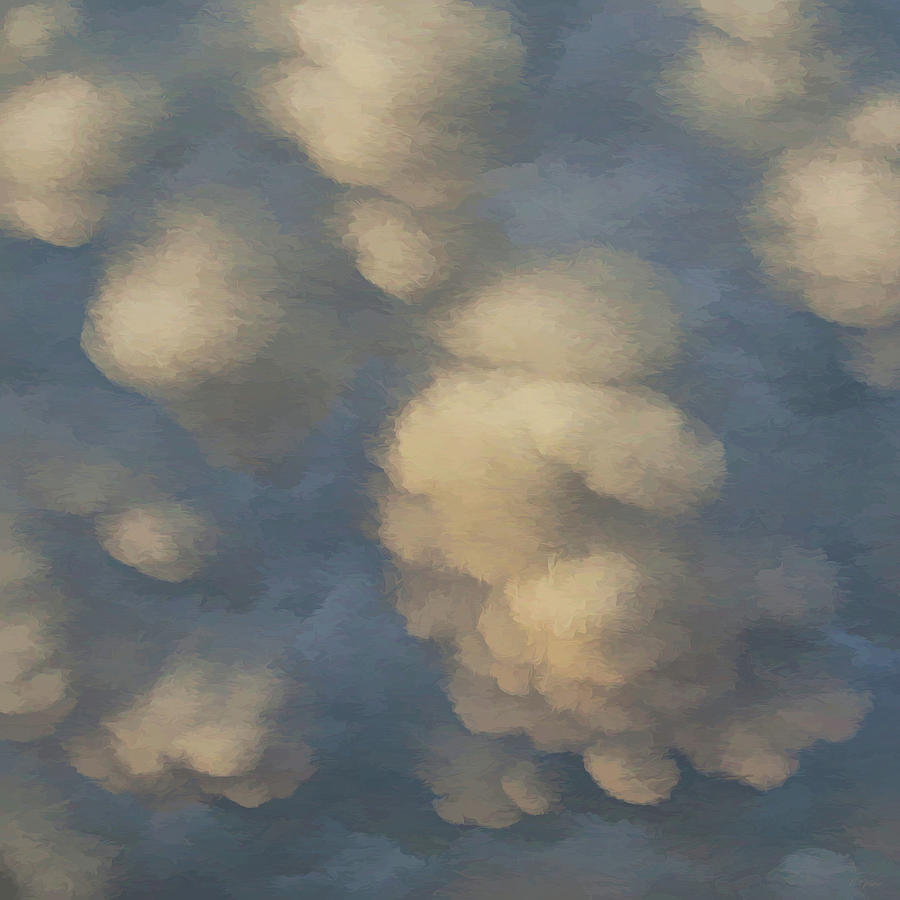 Nature Digital Art - Puffy White Clouds Square by Tony Grider
