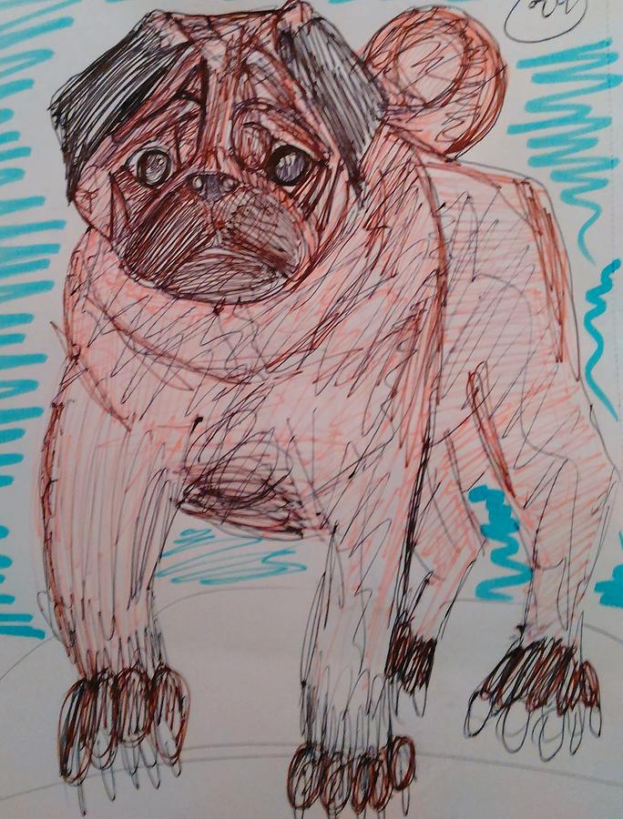 Cute Little Pug Drawing by Andrew Blitman