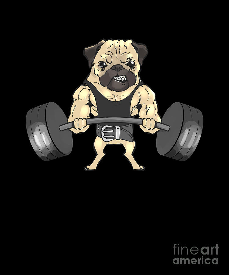 Pug Deadlift Working Out Pug Drawing by Noirty Designs | Fine Art America