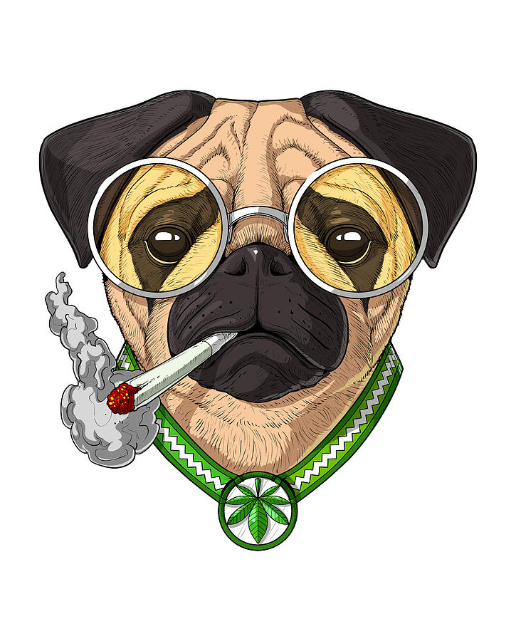 Pug Dog Smoking Weed Digital Art by Nikolay Todorov - Pixels
