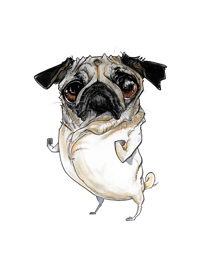 Pug Drawing by Canine Caricatures By John LaFree