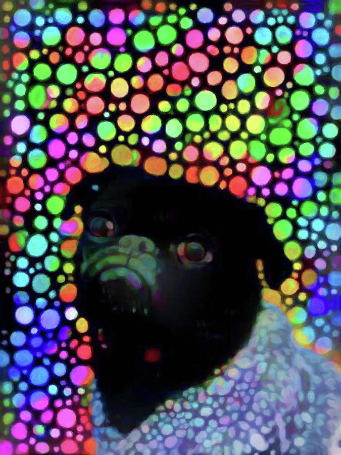 Pug Life Digital Art by Susan Maxwell Schmidt
