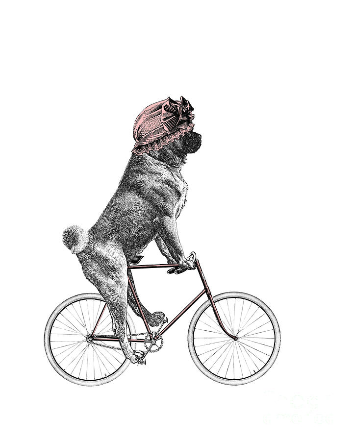 Pug Digital Art - Pug on a Bike by Madame Memento