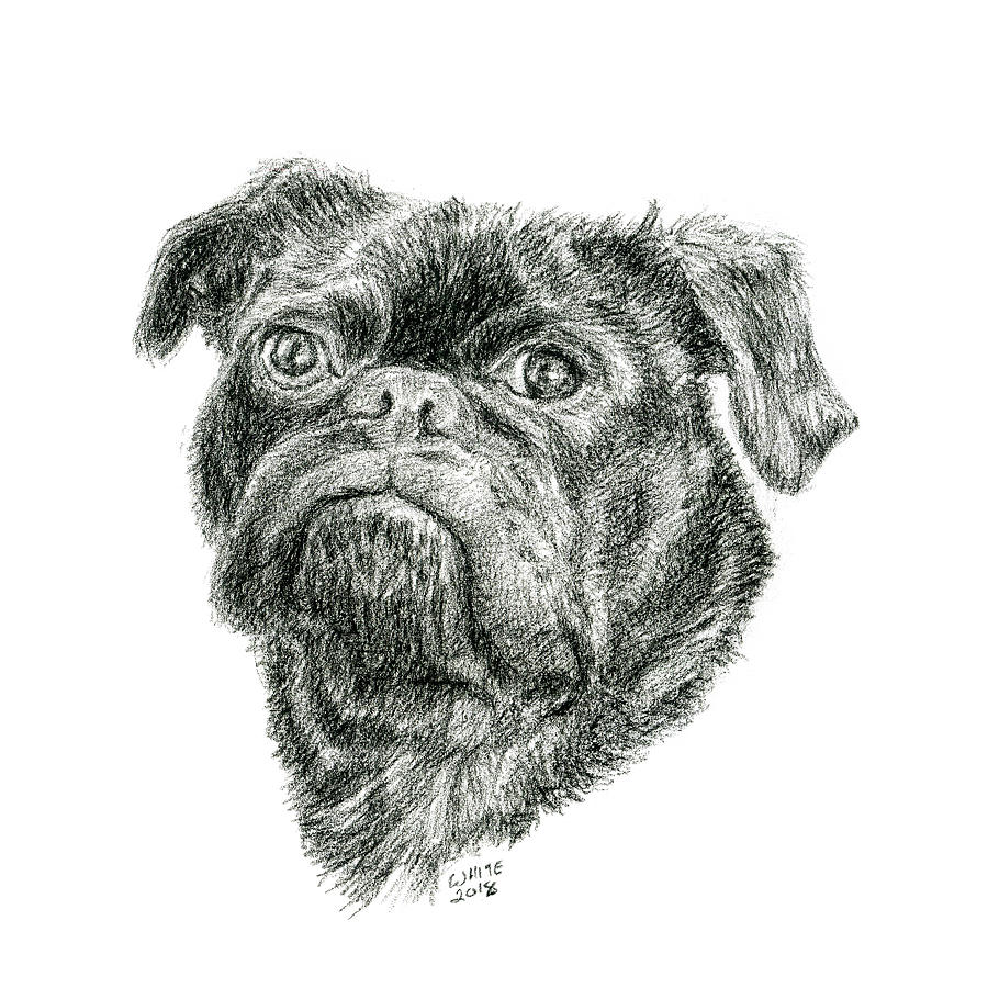 Pug Portrait Pastel by Dominic White - Fine Art America