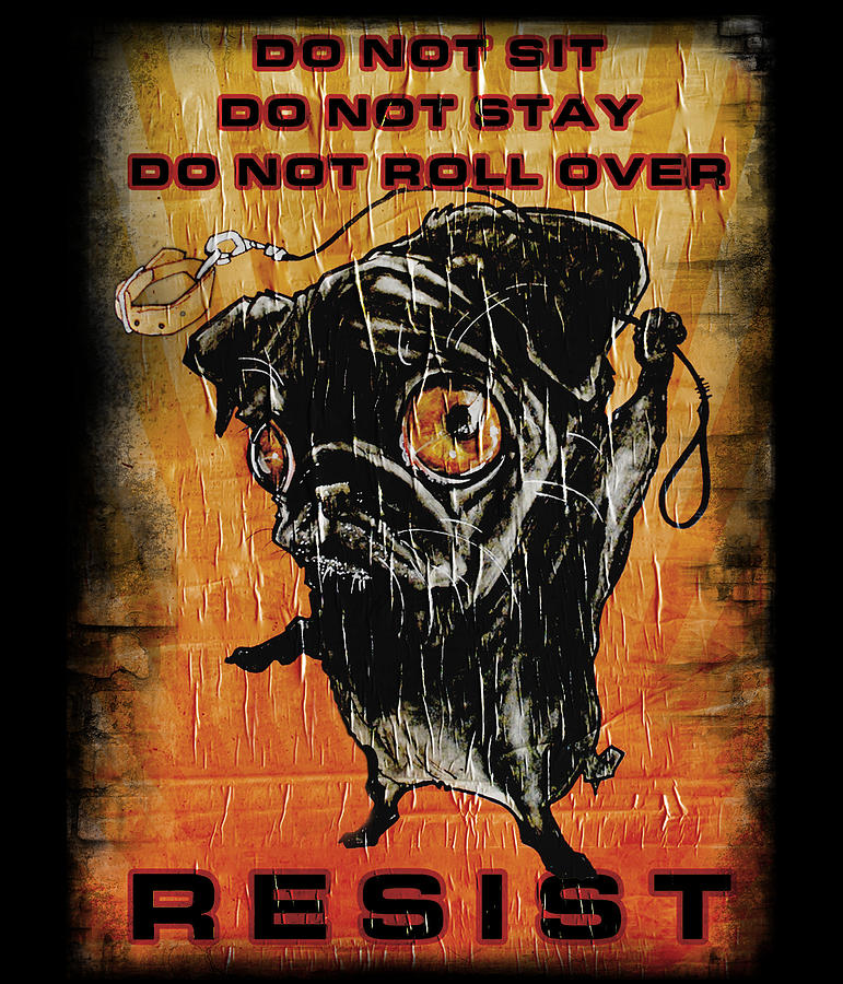 Pug Resistance Poster Drawing by John LaFree