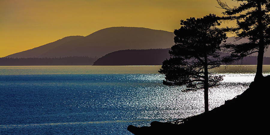Puget Sound Photograph by Tommy Farnsworth