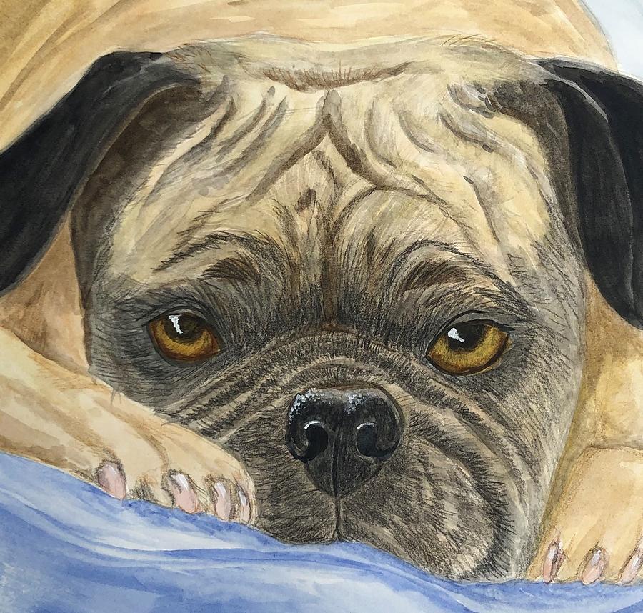 Pug Painting - Pugnacious Pug by Judy Thompson