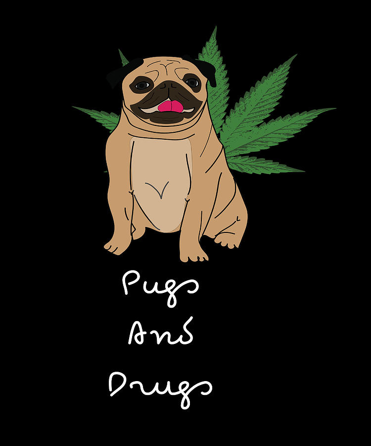 Pug Digital Art - Pugs and Drugs - Funny Weed Cannabis Pug by CalNyto