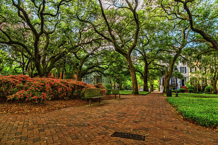 Pulaski Square Savannah Photograph by Gestalt Imagery - Fine Art America