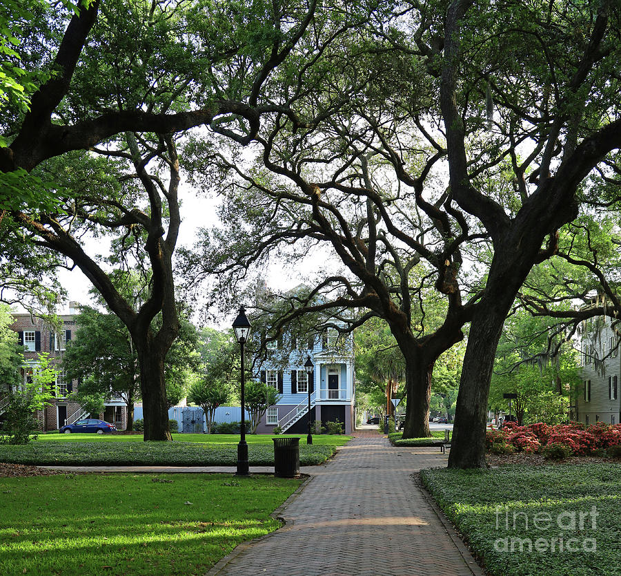 Pulaski Square Walkway Savannah 0671 Photograph by Jack Schultz - Pixels