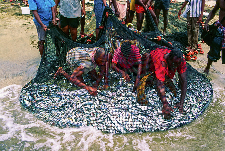 Pulling In The Seine - Fishermen, Trinidad and Tobago Photograph by Earth And Spirit