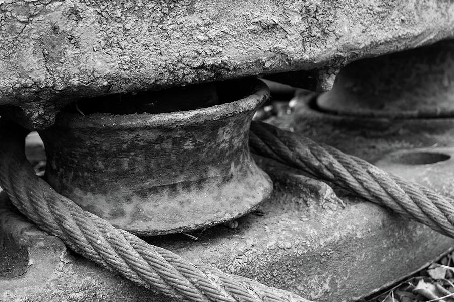 Pully Close Up Black and White Photograph by Catherine Avilez