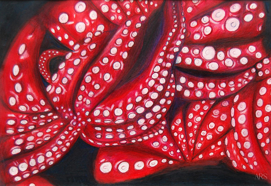 Pulpo Drawing by Amelia Rose - Pixels