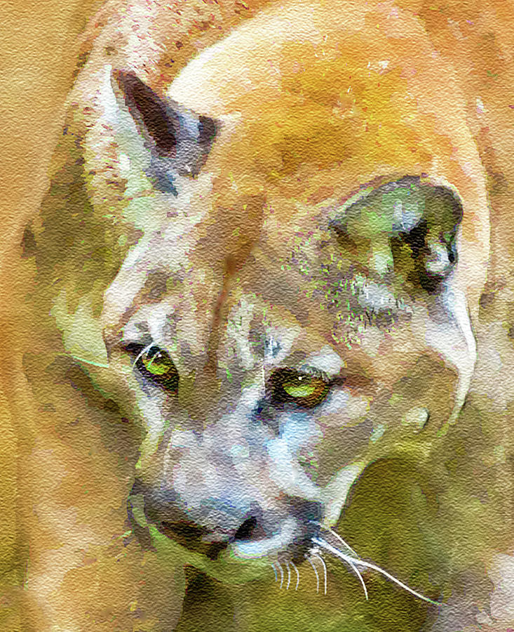 Puma Digital Art by Brian Wallace