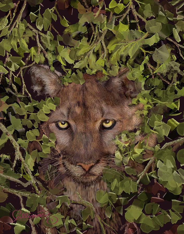 Wildlife Digital Art - Puma with Eyes on the Prize by Marilyn Cullingford