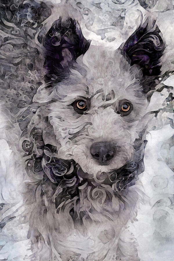 Pumi Dog - Hungarian Sheep Dog Digital Art by Peggy Collins