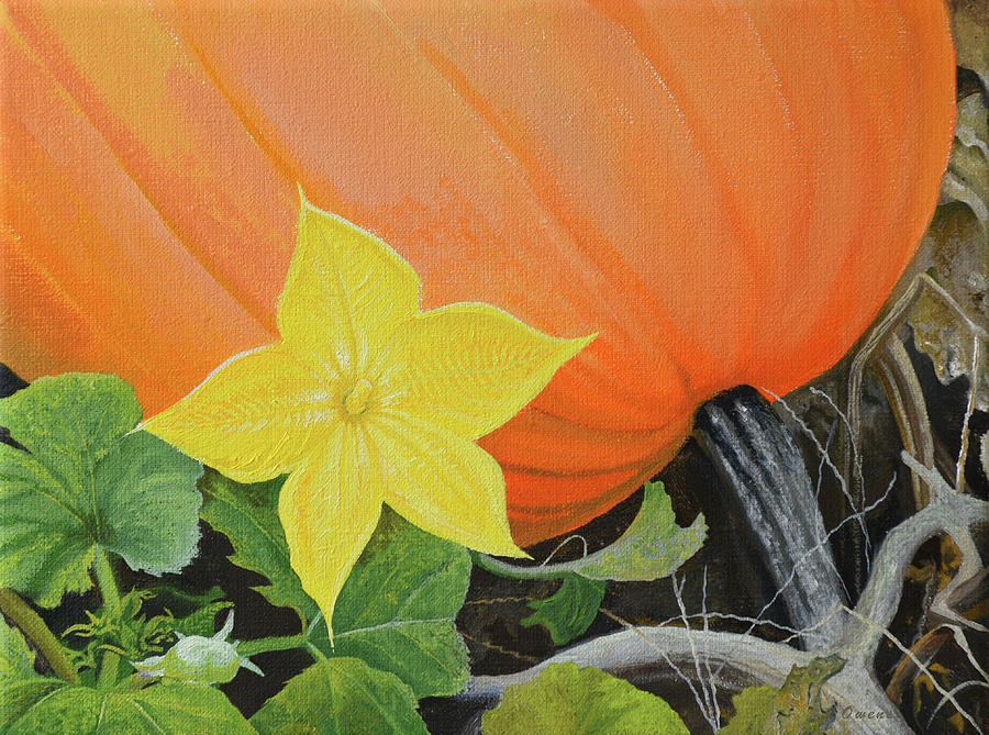 Pumpkin Blossom Painting by Charles Owens