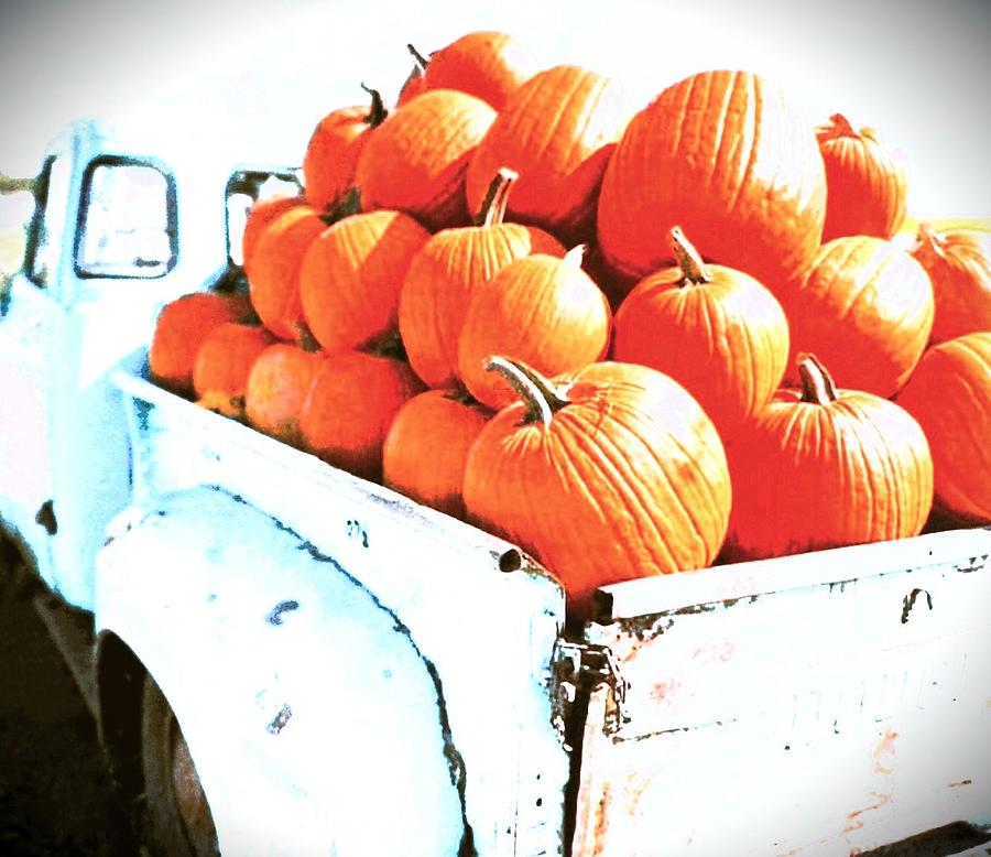 Pumpkin Delivery Photograph by Elizabeth Pennington Fine Art America