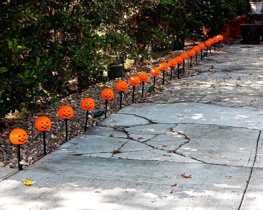 Pumpkin Driveway Photograph by Andrew Lawrence