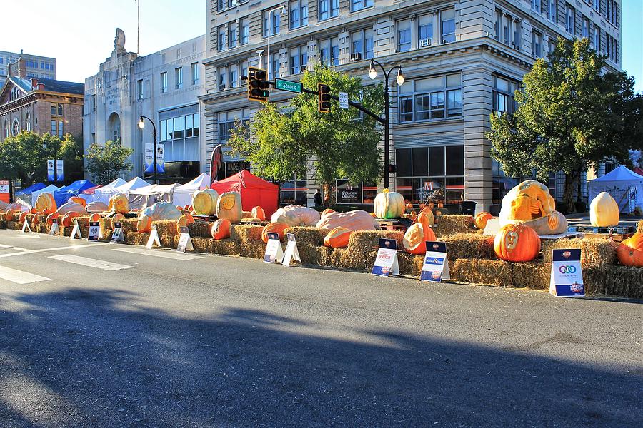 Pumpkin Festival Photograph by Gregory Mitchell Fine Art America