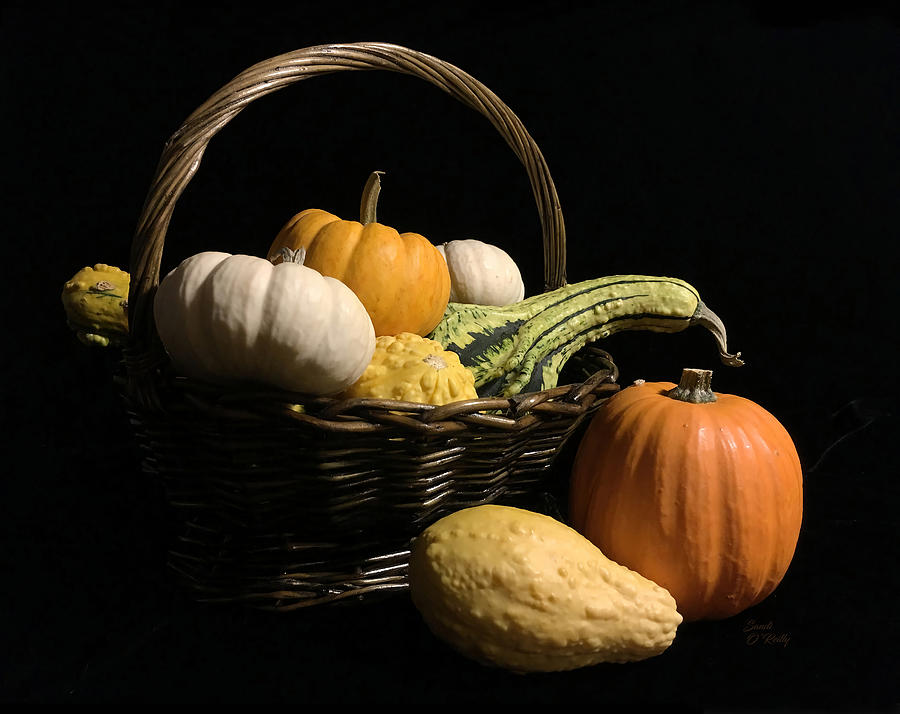 Pumpkins And Gourds Still Life Photograph By Oleksiy Maksymenko