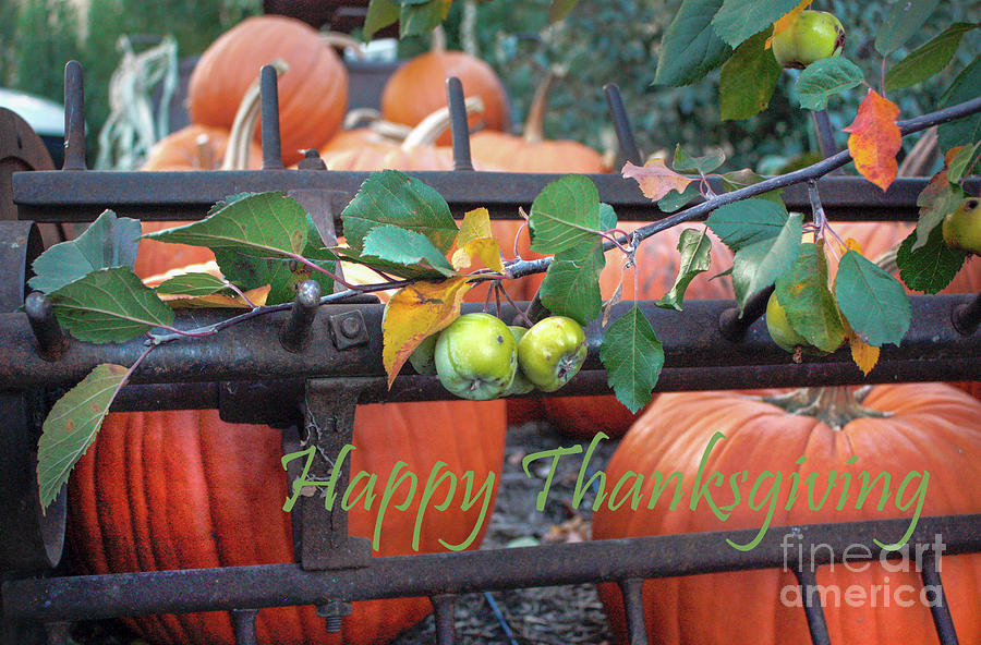 Pumpkin Greetings Happy Thanksgiving Photograph