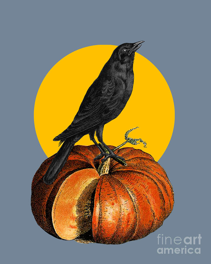 Halloween Digital Art - Pumpkin Halloween Crow  by Madame Memento