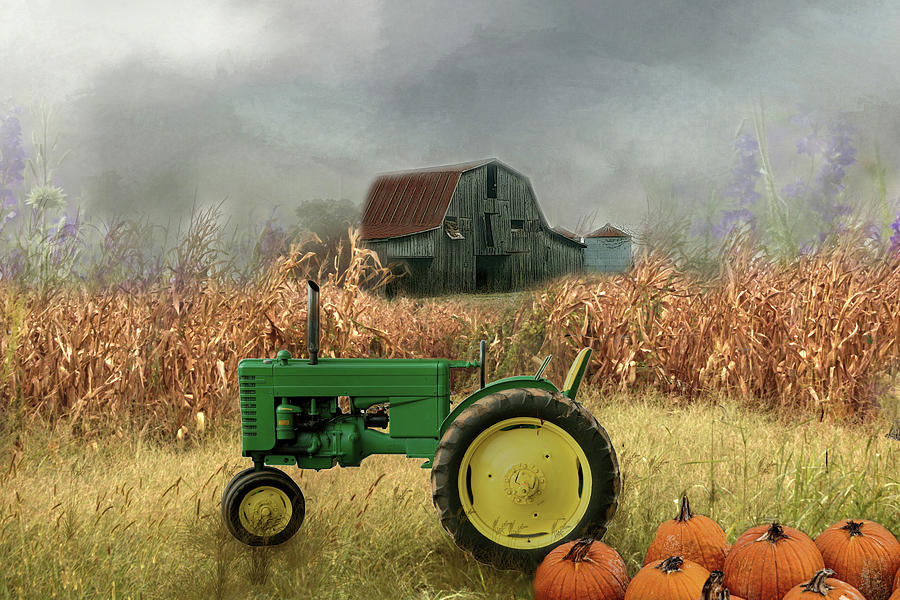 Pumpkin Harvest Digital Art by TnBackroadsPhotos