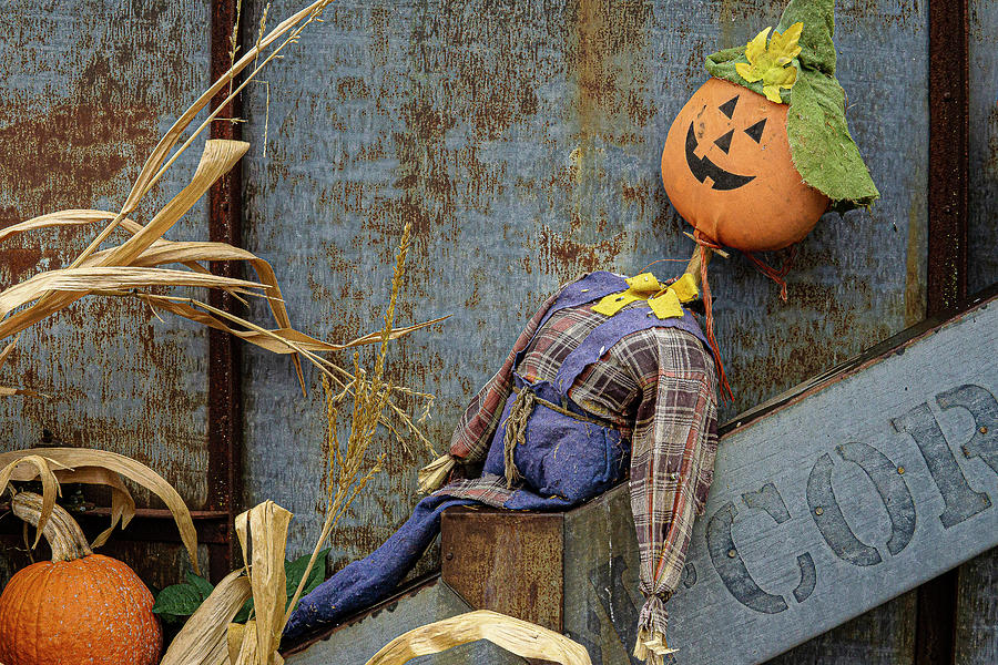 Pumpkin Head Scarecrow Photograph by David Morehead