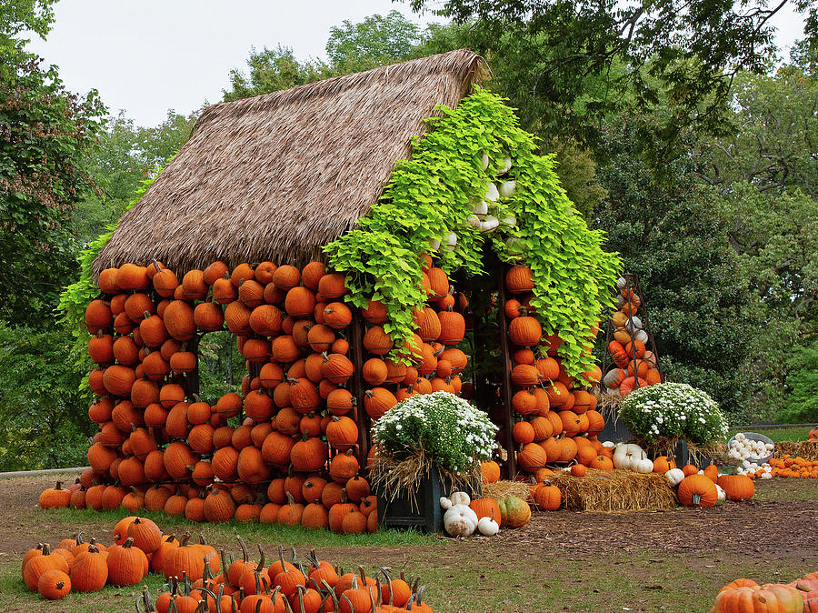 Pumpkin House II Photograph by Gina Fitzhugh
