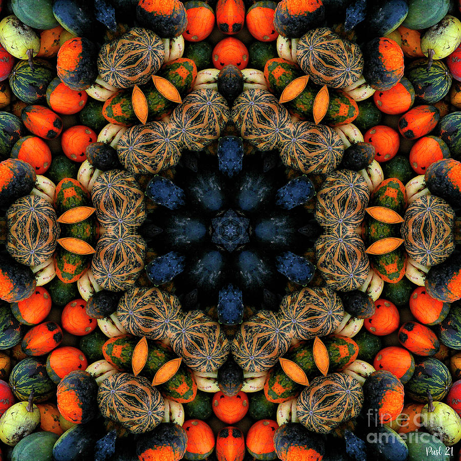 Pumpkin Kaleidoscope Digital Art by Jutta Maria Pusl