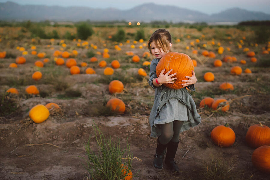 Pumpkin Patch Photograph by Amanda Tipton Photography