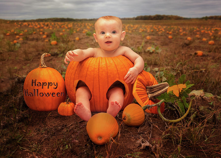 Pumpkin Patch Baby Photograph by Patti Deters
