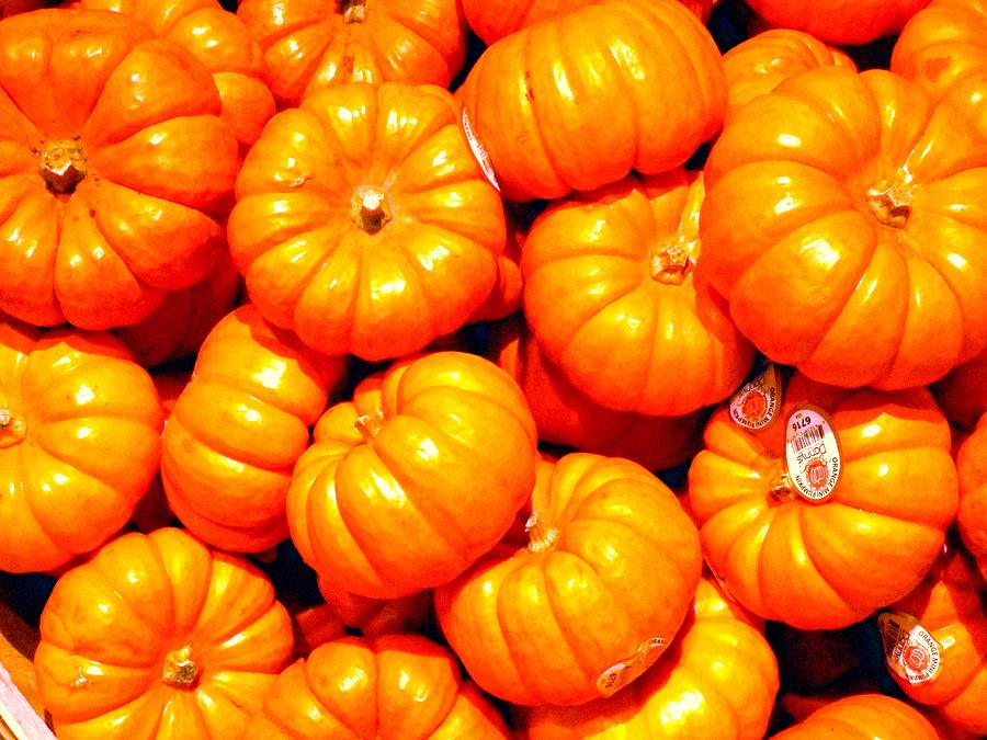 Pumpkin Patch Photograph by Dietmar Scherf