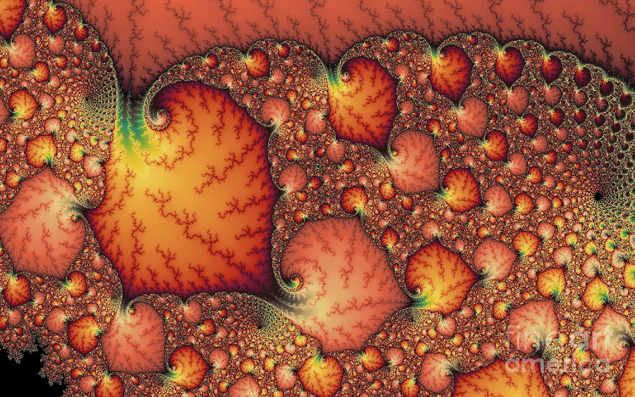 Pumpkin Patch Digital Art