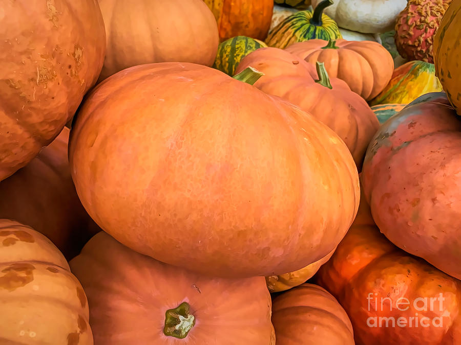 Pumpkin Pile Photograph by Luther Fine Art