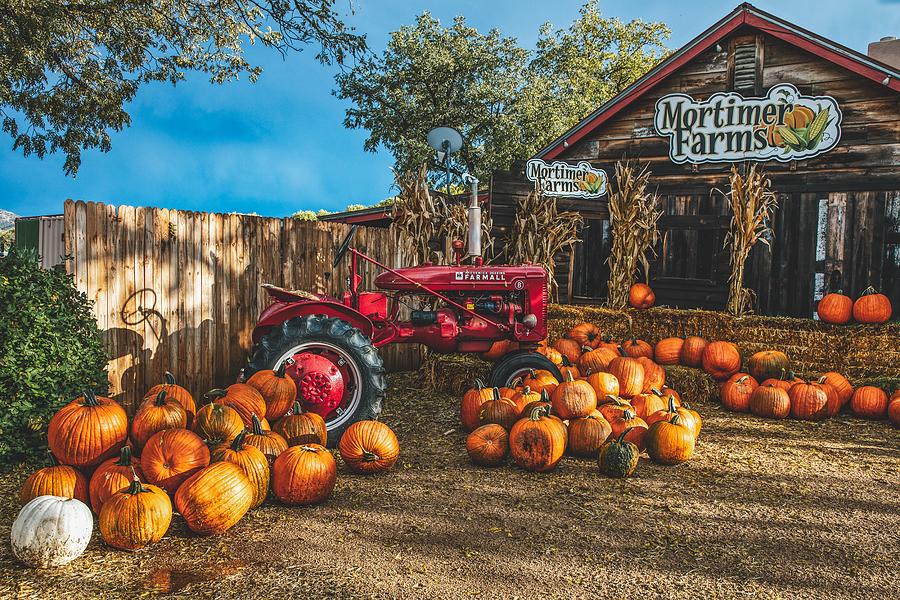 Pumpkin Season at Mortimer Farms Photograph by Mountain Dreams Fine