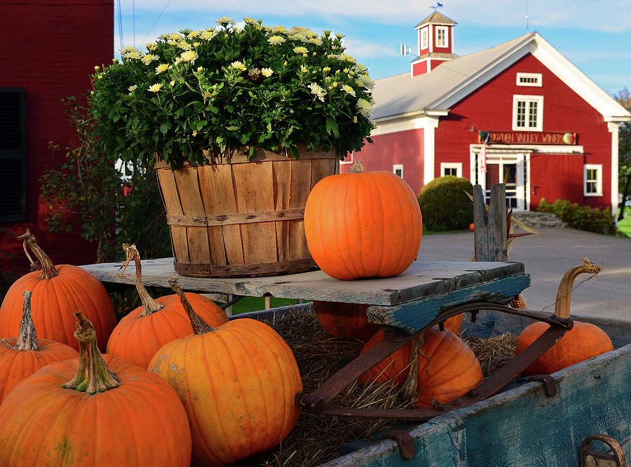 Pumpkin Wagon Photograph by James Frazier - Fine Art America