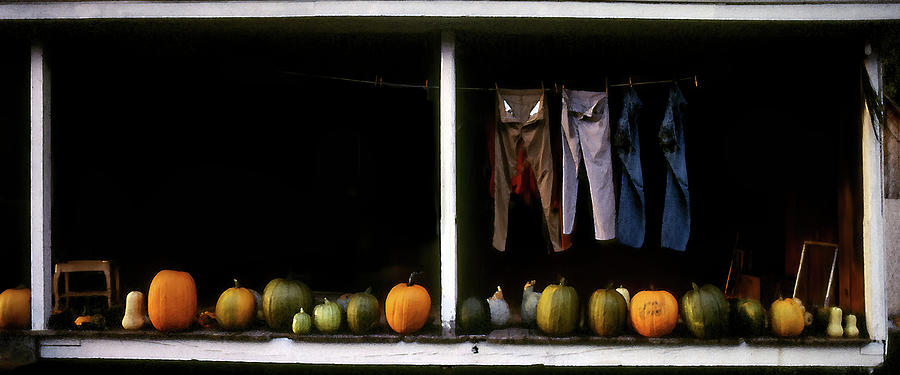 Pumpkins and a Washline Photograph by Wayne King