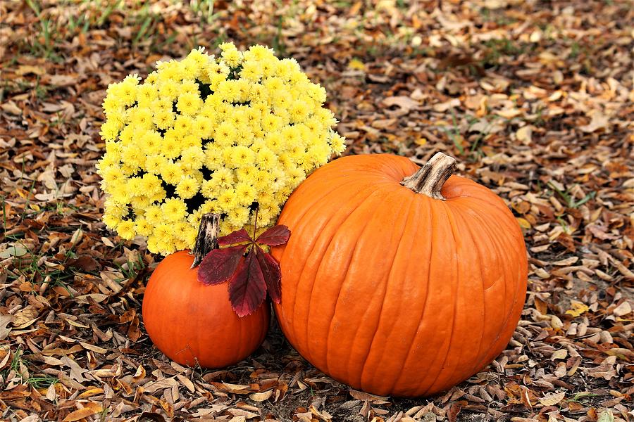 Pumpkins and Flowers in Autumn Leaves Photograph by Sheila Brown