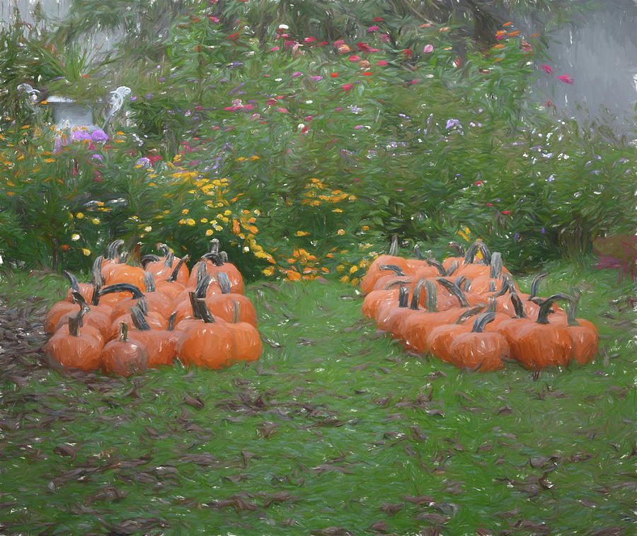 Pumpkins And Flowers Painted Photograph