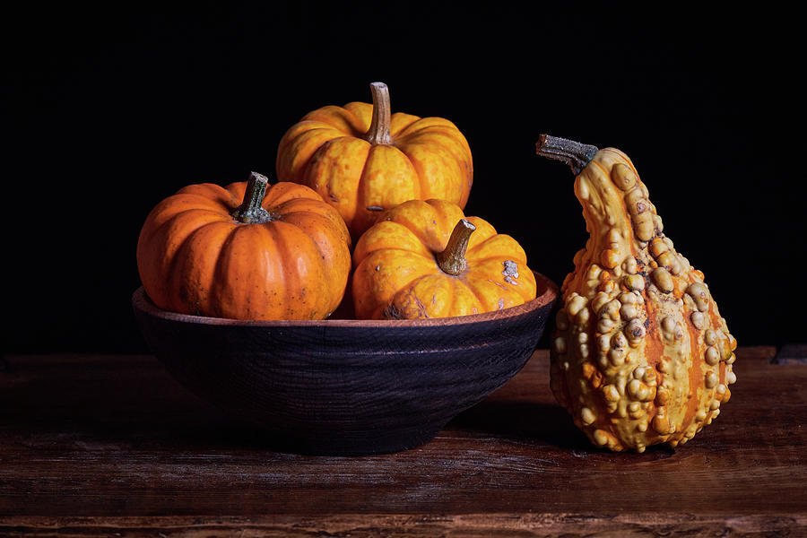 Pumpkins and gourd Photograph by Paul Freidlund