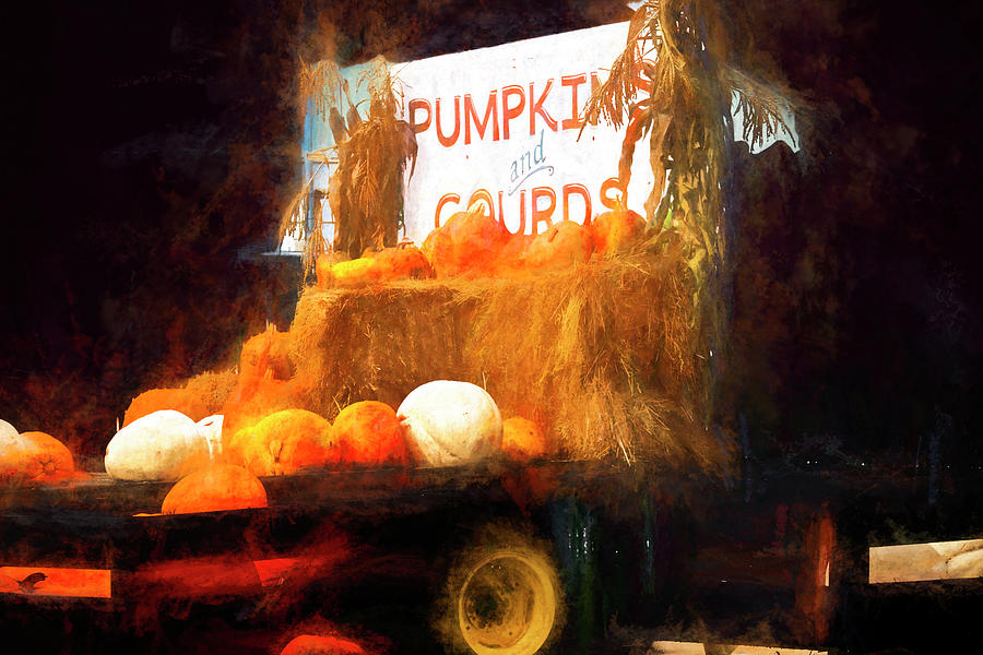 Pumpkins and Gourds  Digital Art by Cathy Anderson