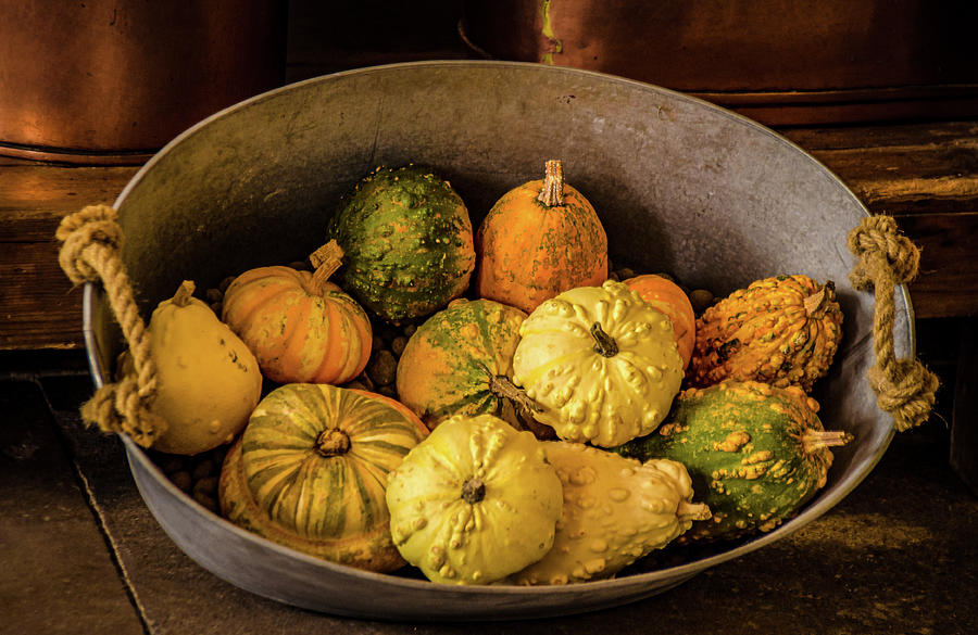 Pumpkins and Gourds Photograph by Julie Palencia