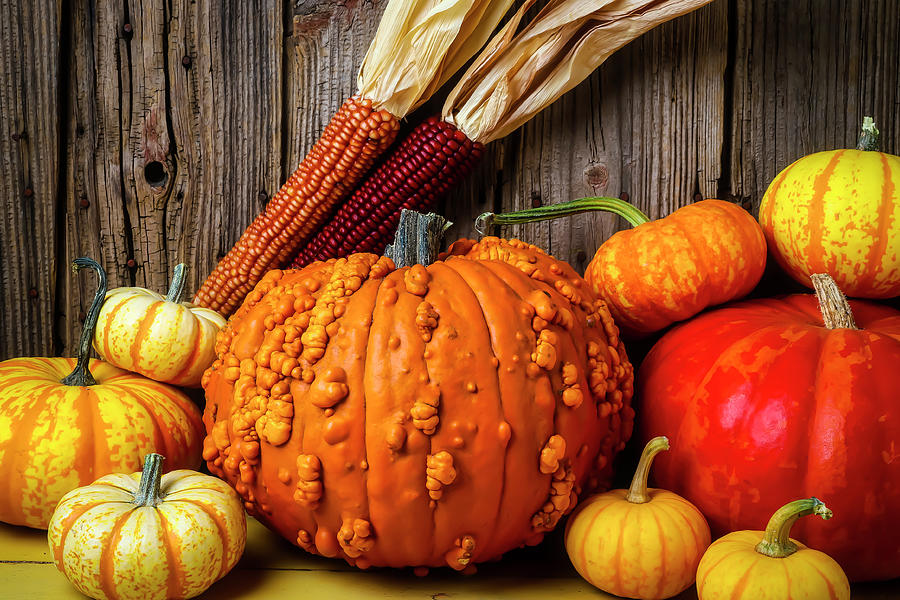 Pumpkins And Indian Corn Still Life Photograph by Garry Gay