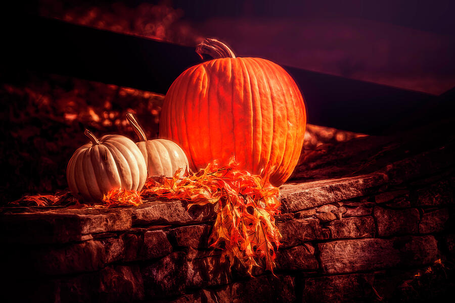 Pumpkins And Leaves Photograph